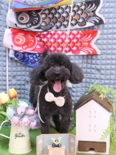 20230531梅ちゃん